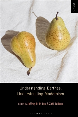 Understanding Barthes, Understanding Modernism - 