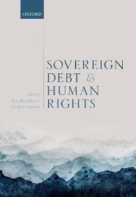 Sovereign Debt and Human Rights - 