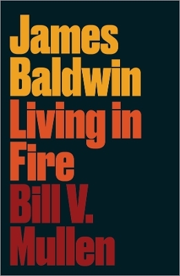 James Baldwin - Bill V. Mullen