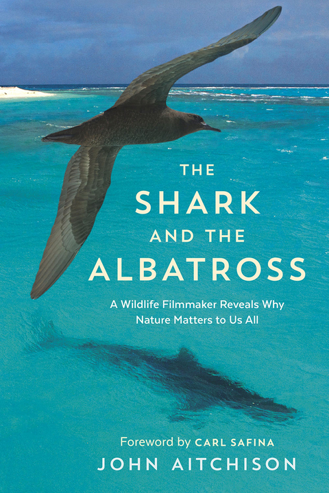 The Shark and the Albatross - John Aitchison