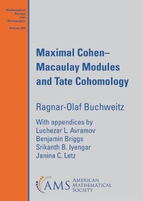 Maximal Cohen-Macaulay Modules and Tate Cohomology - Ragnar-Olaf Buchweitz