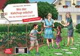Wo der Ketchup w&auml;chst. Wie die Tomate keimt und reift. Kamishibai Bildkartenset - Lydia Hauenschild