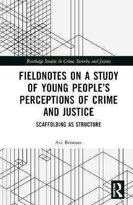 Fieldnotes on a Study of Young People’s Perceptions of Crime and Justice