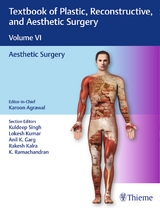 Textbook of Plastic, Reconstructive, and Aesthetic Surgery (Vol. 6) - 