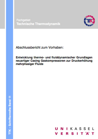 Abschlussbericht zum Vorhaben: Entwicklung thermo- und fluiddynamischer Grundlagen neuartiger Casing Gaskompressoren zur Druckerhöhung mehrphasiger Fluide des Verbundprojekts: EHCR - Boost - Kompakt vernetzte Mehrphasen Transportsysteme mit neuen Casing Gas Kompressoren zur Erhöhung der Ausförderrate maritimer Öl- und Gas-felder