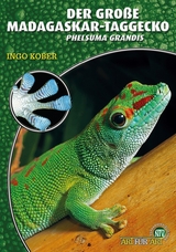Der große Madagaskar-Taggecko - Kober, Ingo