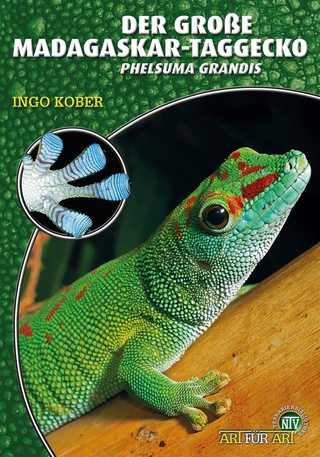 Der große Madagaskar-Taggecko