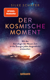 Der kosmische Moment - Silke Sch&auml;fer