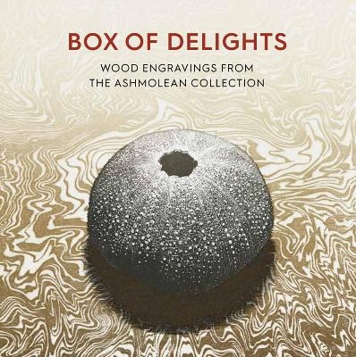 Box of Delights - Anne Desmet