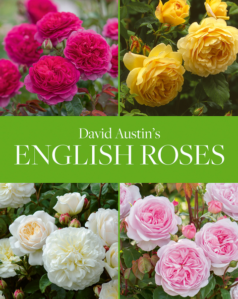 David Austin's English Roses - David Austin