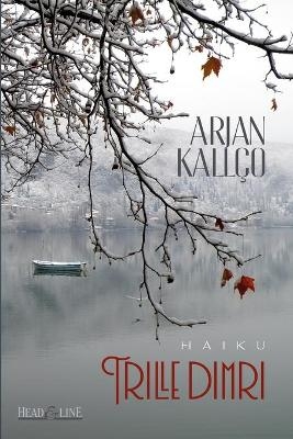 Trille dimri - Arjan Kallço