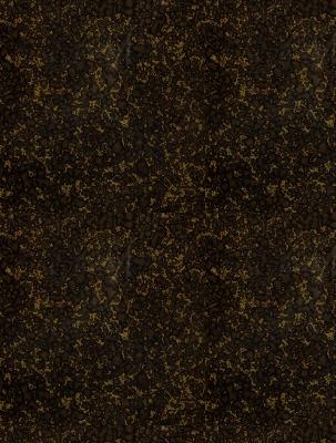 Atlas des menschlichen Gehirns und des Faserverlaufes - E. Flatau