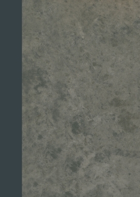 Syphilis und Nervensystem - M. Nonne