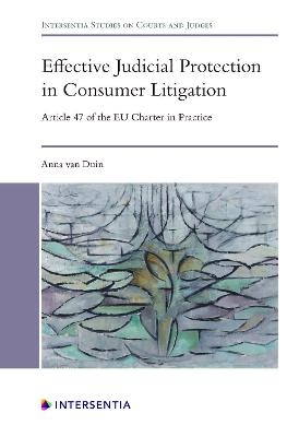 Effective Judicial Protection in Consumer Litigation - Anna van Duin