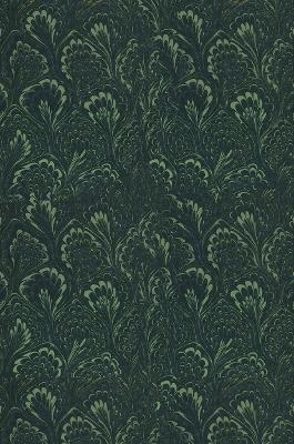 Handbuch der Anatomie und vergleichenden Anatomie des Centralnervensystems der S&auml;ugetiere - E. Flatau, L. Jacobsohn