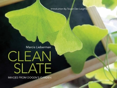 Clean Slate - Marcia Lieberman