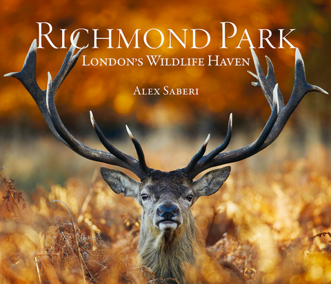 Richmond Park - 