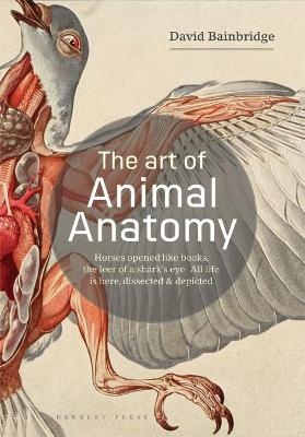 The Art of Animal Anatomy - David Bainbridge