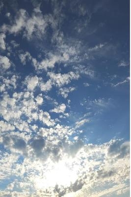 Ent- Und Zer-Denker(innen)