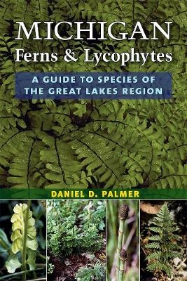 Michigan Ferns and Lycophytes - Daniel D. Palmer
