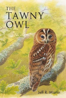 The Tawny Owl - Jeff Martin