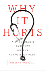 Why It Hurts - Aneesh Singla