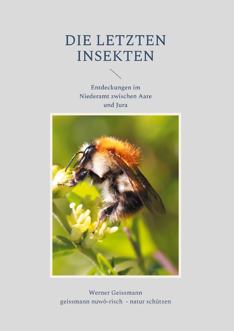 Die letzten Insekten - Werner Geissmann