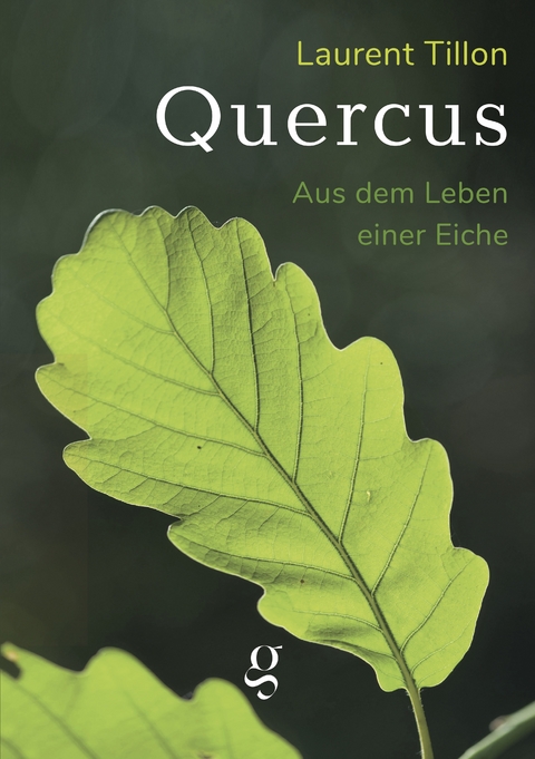 Quercus - Aus dem Leben einer Eiche - Laurent Tillon