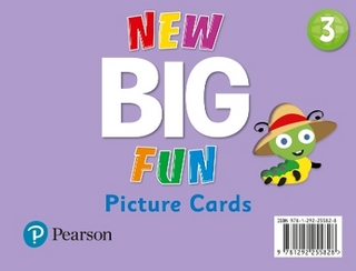 New Big Fun - (AE) - 2nd Edition (2019) - Picture Cards - Level 3