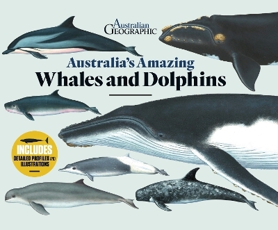 Australia's Amazing Whales and Dolphins -  Australian Geographic