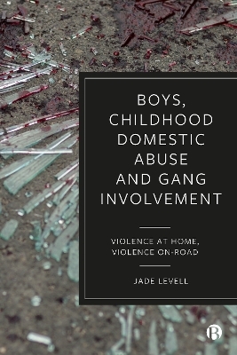 Boys, Childhood Domestic Abuse and Gang Involvement - Jade Levell