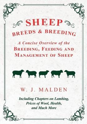 Sheep Breeds and Breeding - A Concise Overview of the Breeding, Feeding and Management of Sheep, Including Chapters on Lambing, Prices of Wool, Health, and Much More