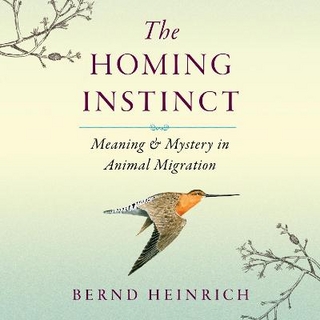 The Homing Instinct