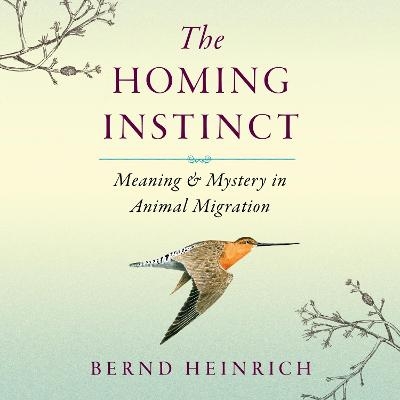 The Homing Instinct - Bernd Heinrich