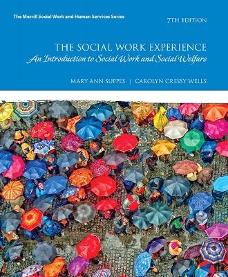 Social Work Experience, The - Mary Ann Suppes, Carolyn Wells