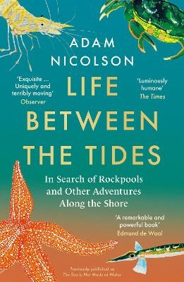 Life Between the Tides - Adam Nicolson