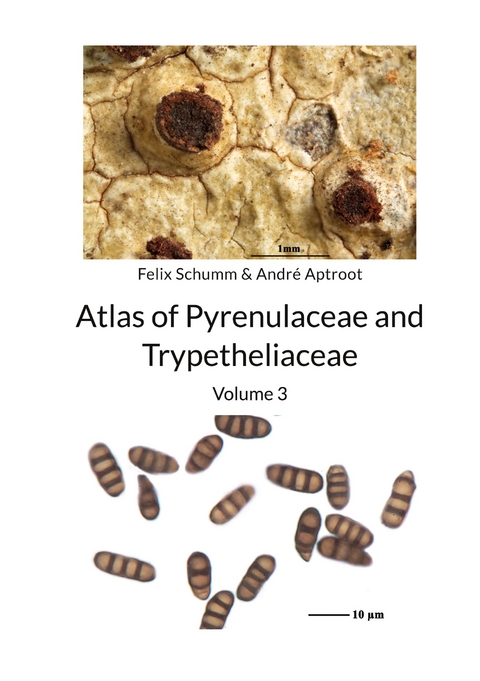 Atlas of Pyrenulaceae and Trypetheliaceae Vol 3 - Felix Schumm, Andr&eacute; Aptroot