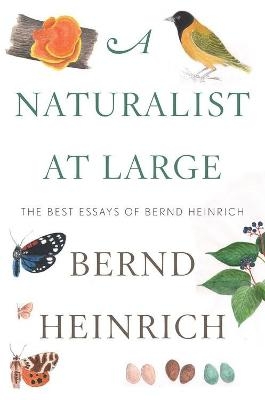 Naturalist At Large, A - Bernd Heinrich