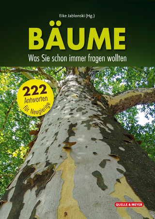 Bäume