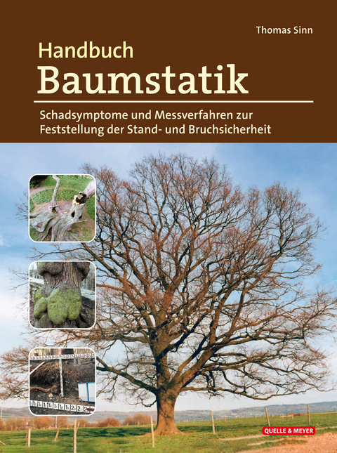 Handbuch Baumstatik - Thomas Sinn