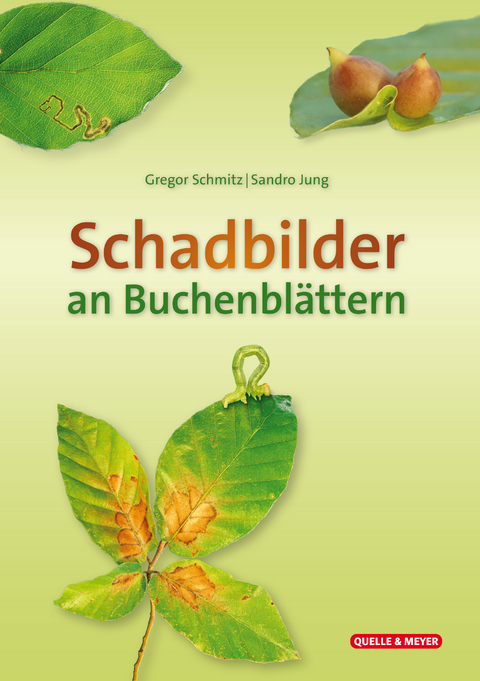 Schadbilder an Buchenbl&auml;ttern - Gregor Schmitz, Sando Jung