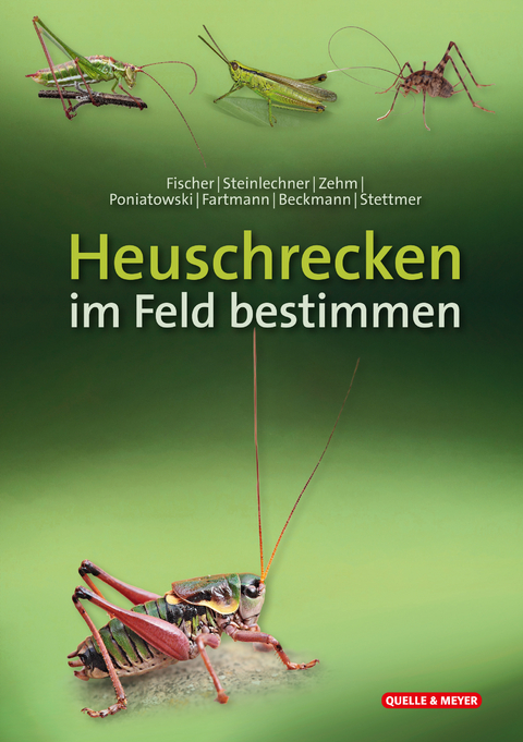 Heuschrecken im Feld bestimmen - Jürgen Fischer, Daniela Steinlechner, Andreas Zehm, Dominik Poniatowski, Thomas Fartmann, Armin Beckmann, Christian Stettmer