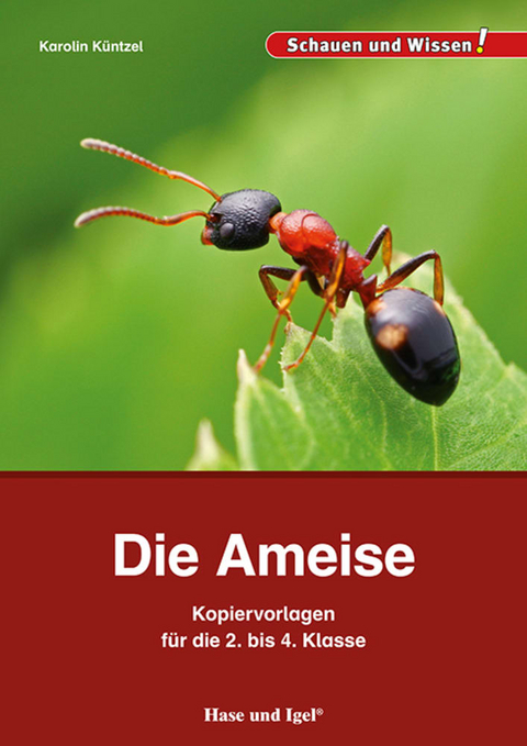 Die Ameise &ndash; Kopiervorlagen f&uuml;r die 2. bis 4. Klasse - Karolin K&uuml;ntzel