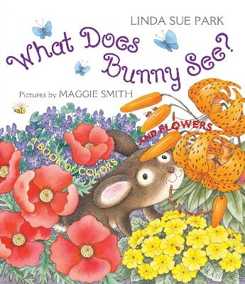 What Does Bunny See? - Mrs Linda Sue Park