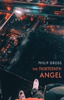 The Thirteenth Angel - Philip Gross