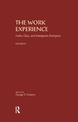 The Work Experience - George E. Pozzetta
