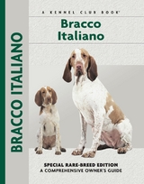 Bracco Italiano - Juliette Cunliffe