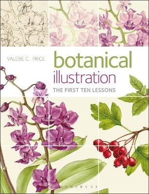 Botanical Illustration - Valerie Price