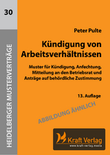 Kündigung von Arbeitsverhältnissen - Pulte, Peter