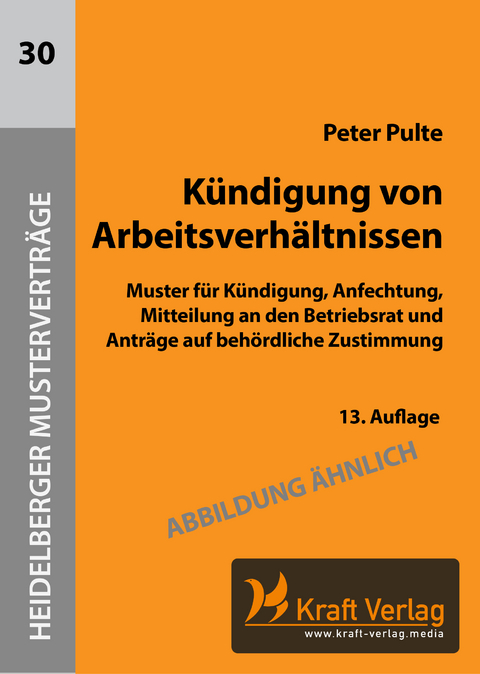 K&uuml;ndigung von Arbeitsverh&auml;ltnissen - Peter Pulte